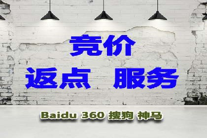 SEM竞价优化实战：提升转化率案例分析